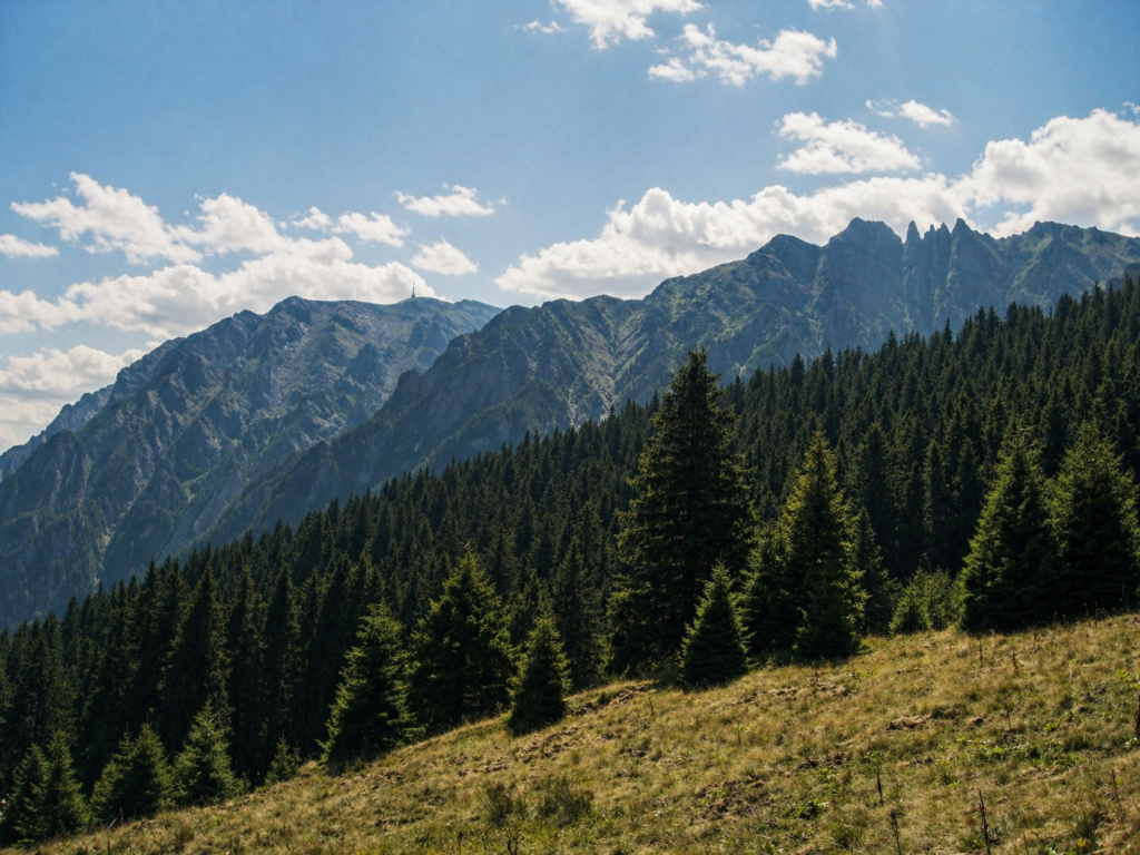 Mountains
