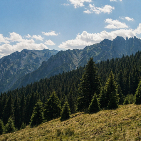Mountains