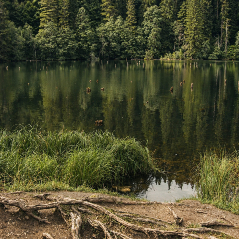 Red Lake