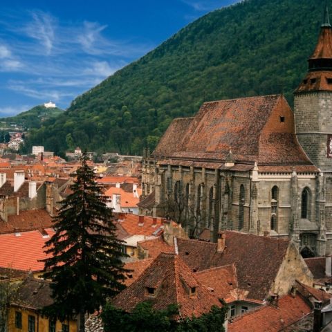 Brasov #8
