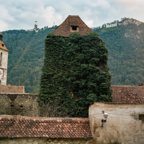 Brasov #6