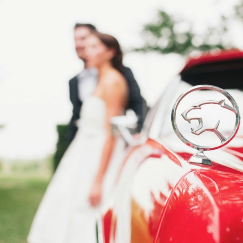 Wedding Photo