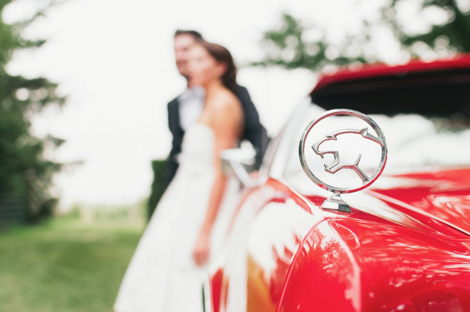 Wedding Photo