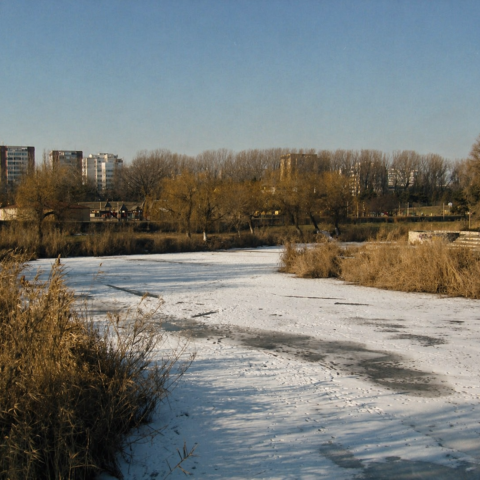 Frozen Lake