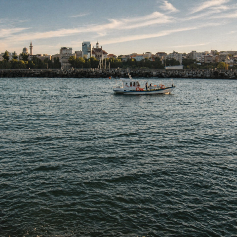 Black Sea